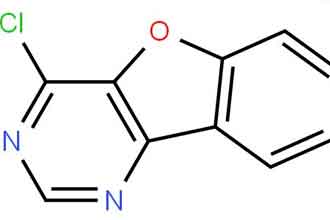 informat_1551273628237