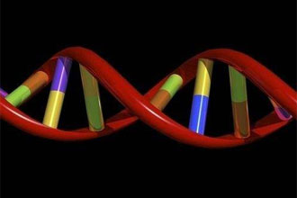 informat_1551274209103