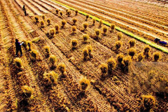 informat_1551274238320