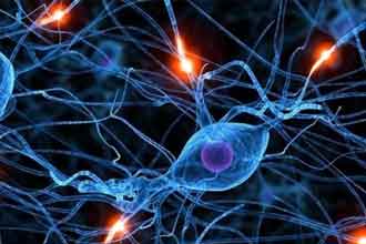 informat_1551274281388