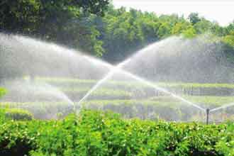 informat_1551314805429