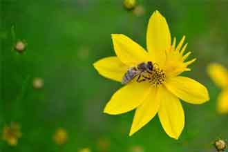 informat_1551315187841