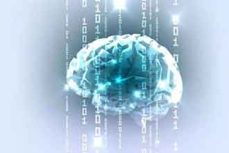 informat_1551315924449