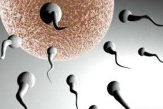 informat_1551315961241