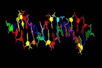 informat_1551316408575