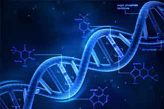 informat_1551316642096