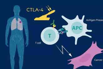 informat_1551317616177