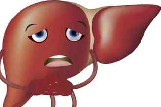 informat_1551318458570