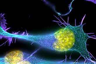 informat_1551318532593