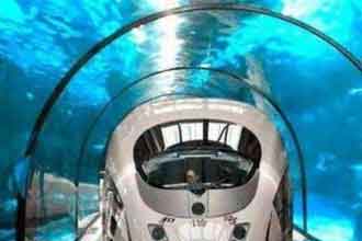 informat_1551319831253