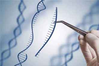 informat_1551319940614