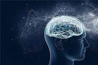 informat_1551320059132