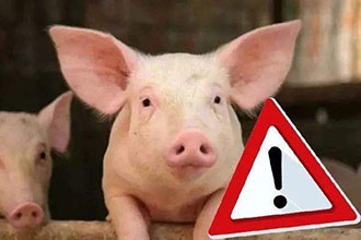 informat_1551320860907