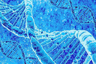 informat_1551321297370