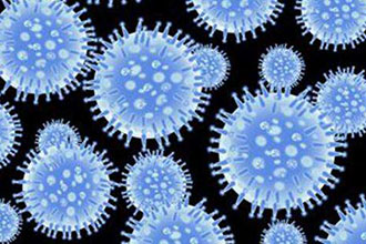 informat_1551321498382