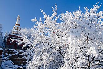 informat_1551321622488