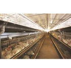 informat_1551422441337