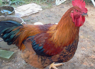 informat_1551423575199