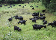 informat_1551684386393 informat_1551684386393