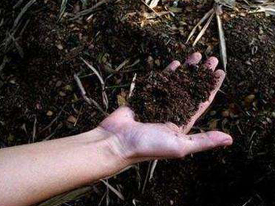 informat_1551685690062