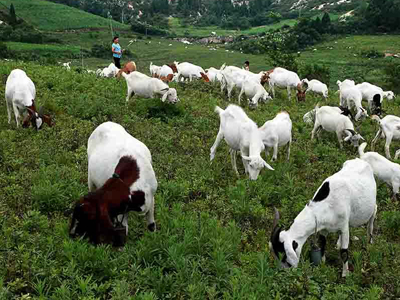 informat_1551685735190