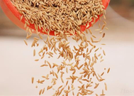 informat_1551685798541 informat_1551685798541