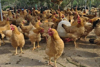 informat_1551835040324 informat_1551835040324