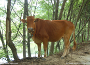 informat_1551835112173 informat_1551835112173