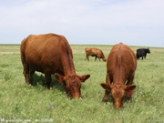 informat_1551835164043 informat_1551835164043