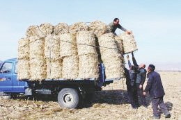 informat_1551836204019