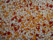 informat_1551836704289