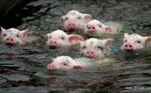 informat_1551836843247