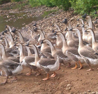 informat_1551836941557 informat_1551836941557