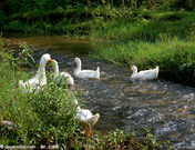 informat_1551837054428 informat_1551837054428