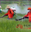 informat_1551837618829