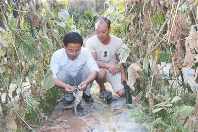 informat_1551839042483