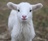 informat_1552006809326