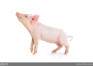 informat_1552006861041