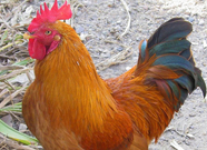 informat_1552007525298 informat_1552007525298