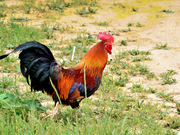 informat_1552007583549 informat_1552007583549