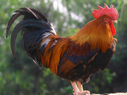 informat_1552007630910 informat_1552007630910