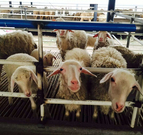 informat_1552007686453