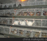 informat_1552008064740 informat_1552008064740