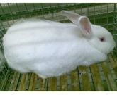 informat_1552009018398