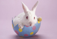 informat_1552009072623