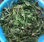 informat_1552351645678