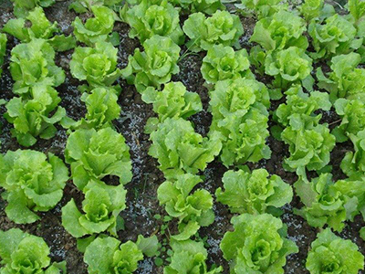 informat_1552351683779 informat_1552351683779