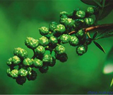 informat_1552351971115