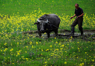 informat_1552352080207