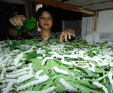 informat_1552610688315